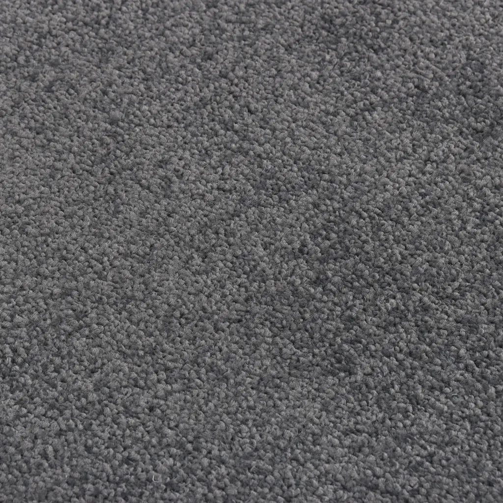 Zerbino Antracite 60x80 cm cod mxl 49659