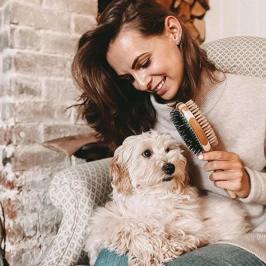 Borsetta per Grooming, Slicker Borsetta per Cani, Borsetta per Animali da Casa per la Pulizia e la Massaggio con Setole Corte, Medie e Lunghe per Gatti e Cani