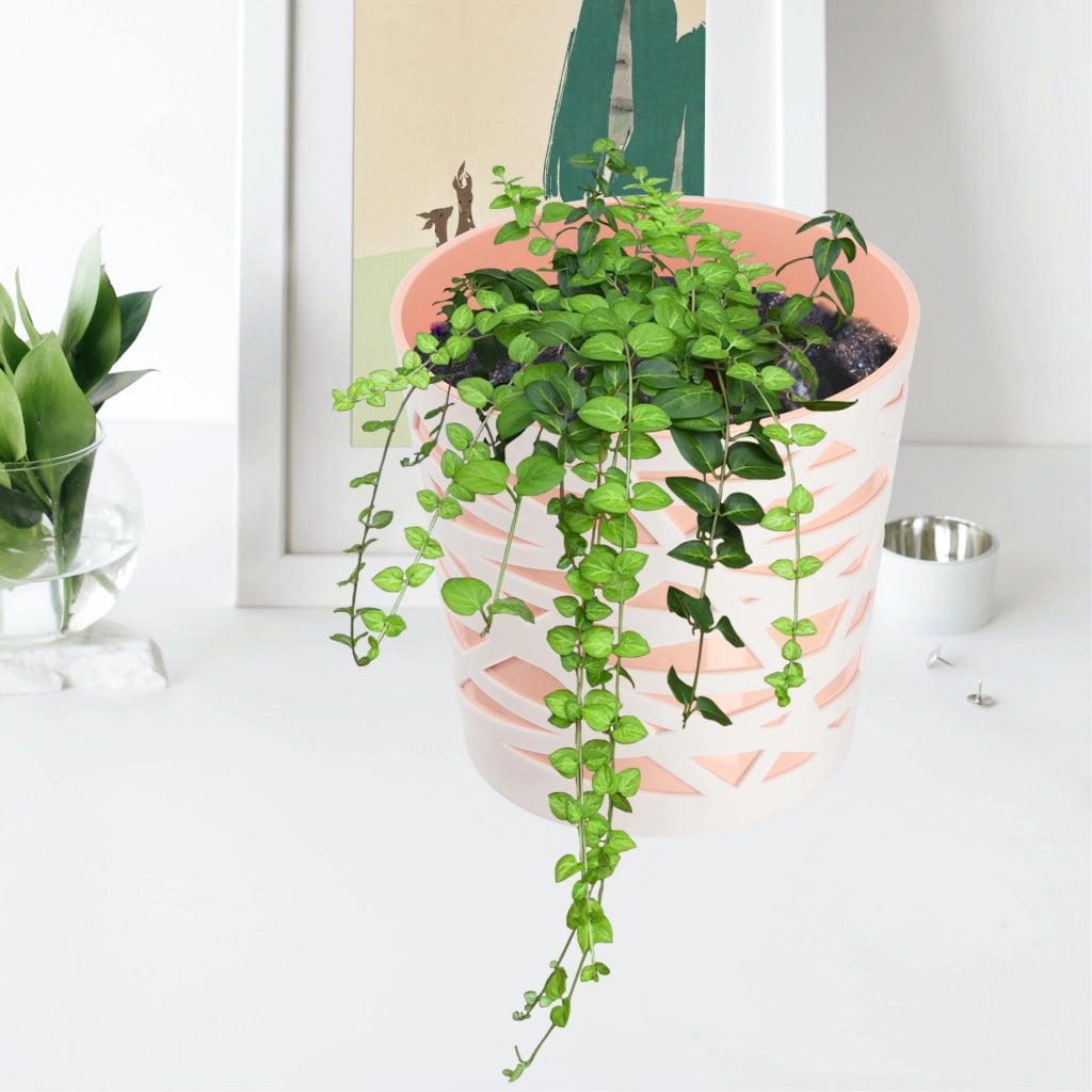 KADAX - Inserto in plastica per vaso di fiori e piante, 19 cm, beige