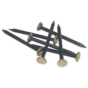 CHIODO TESTA OTTONE - ACCIAIO CF=PZ 100 MM 20- 5 confezioni