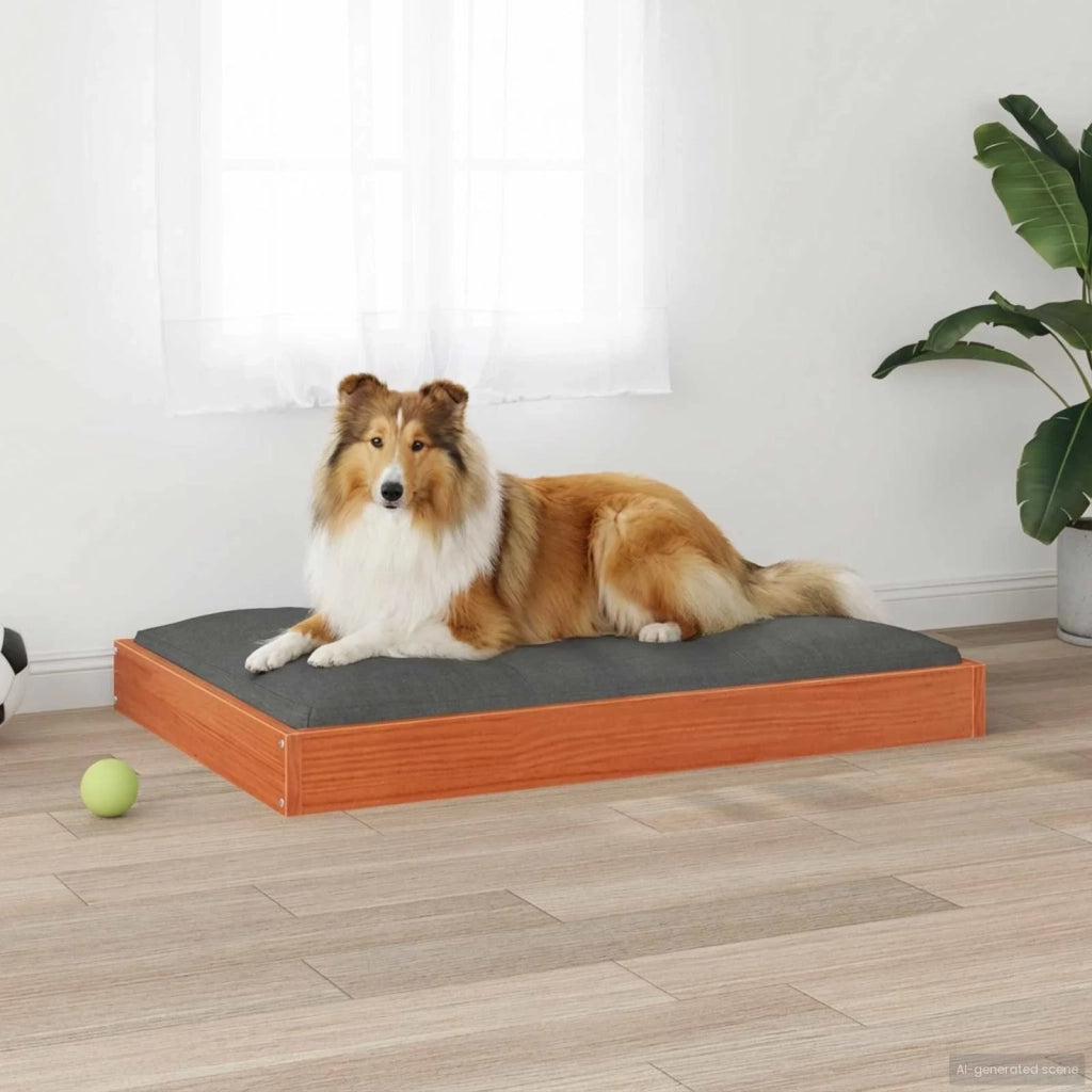 Letto per Cani Marrone cerato 92 x 64 x 9 cm CFW1817090