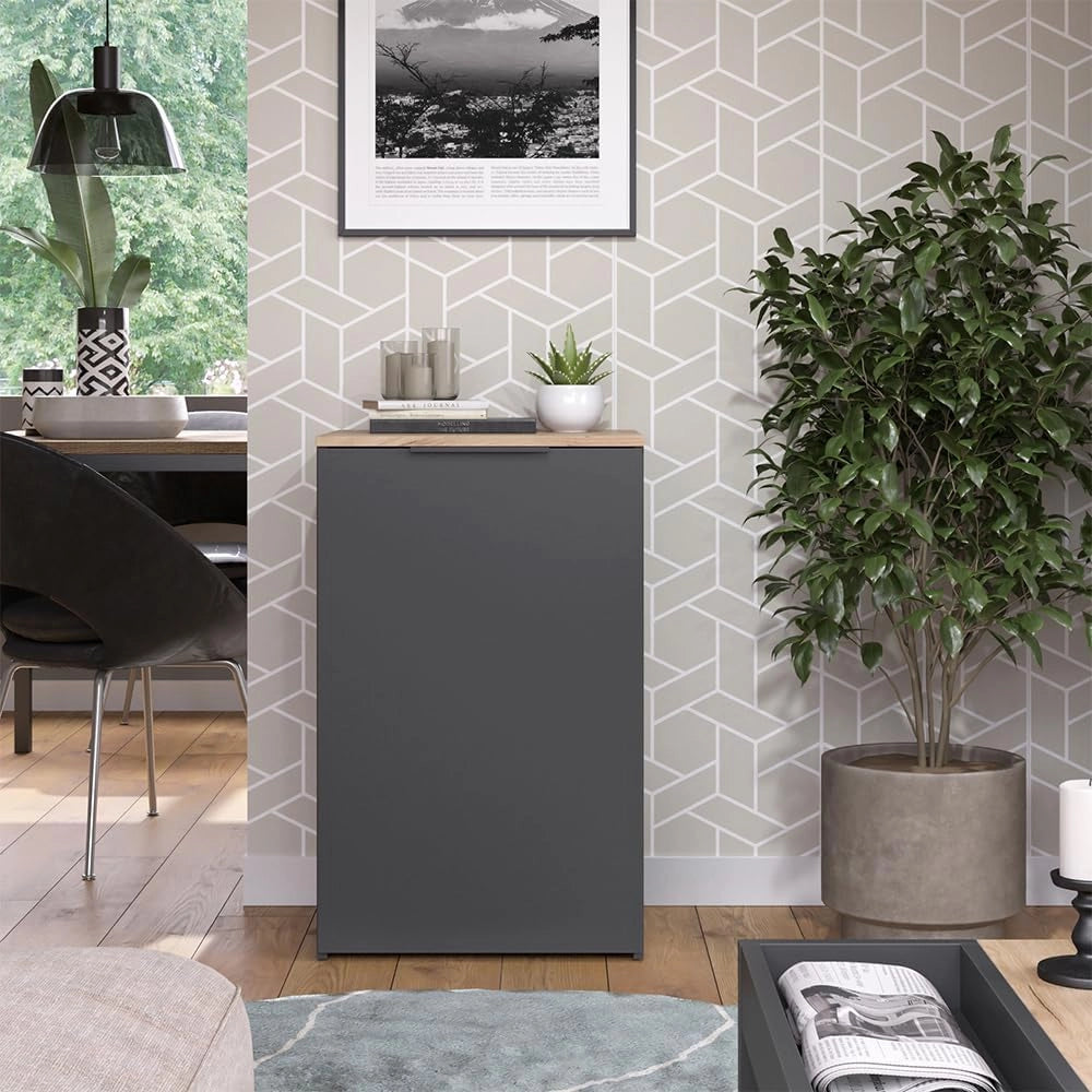 Credenza Wido, Antracite, 50 x 80 cm con ripiano, per la conservazione e l'organizzazione salvaspazio