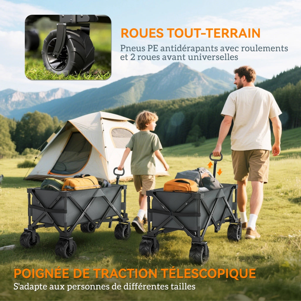 Carrello Pieghevole Trasporto ¨C Zephmum ¨C Grigio 108x55 cm