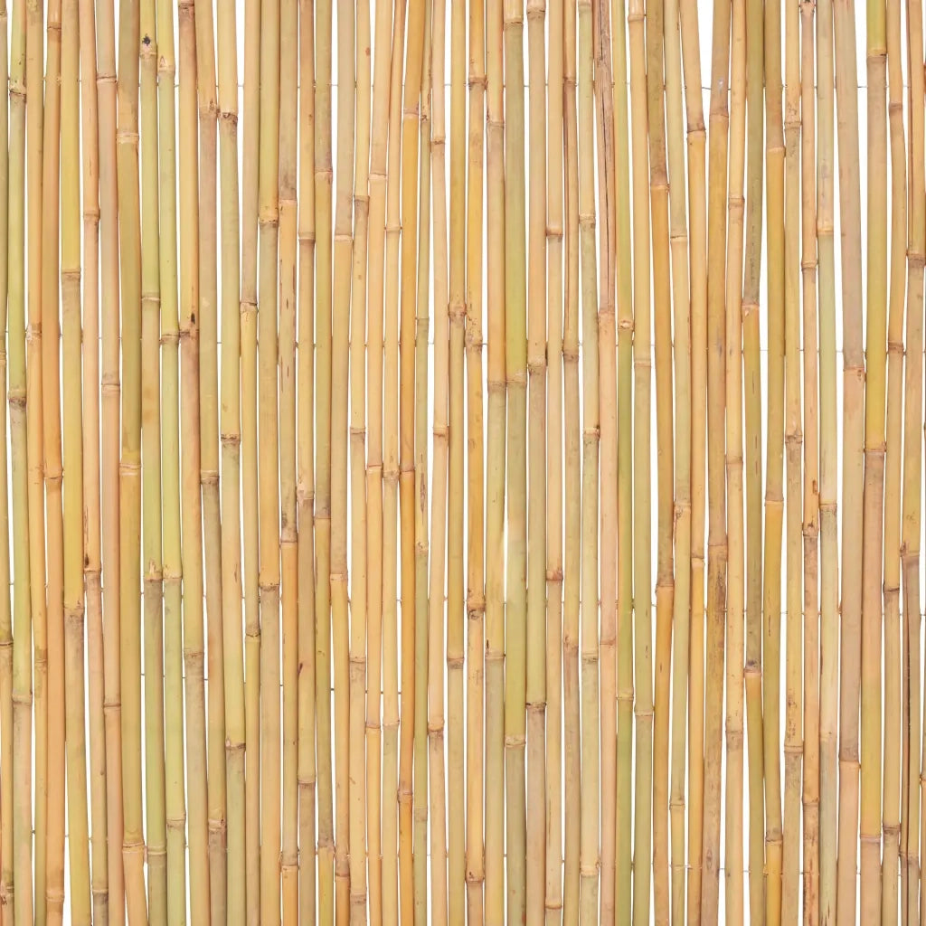 Recinzione in Bambù 300x100 cm 142683