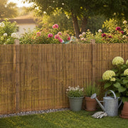 Garden Fence 600x100 Cm Reed