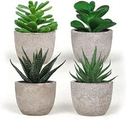 Piantine Artificiali Set 4 Pz In Scatola Trasparente Di Acetato King Home 