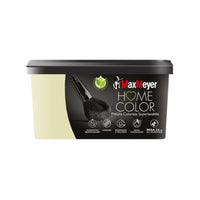 HOME COLOR SUPERLAVABILE LT.2,5 SALICE