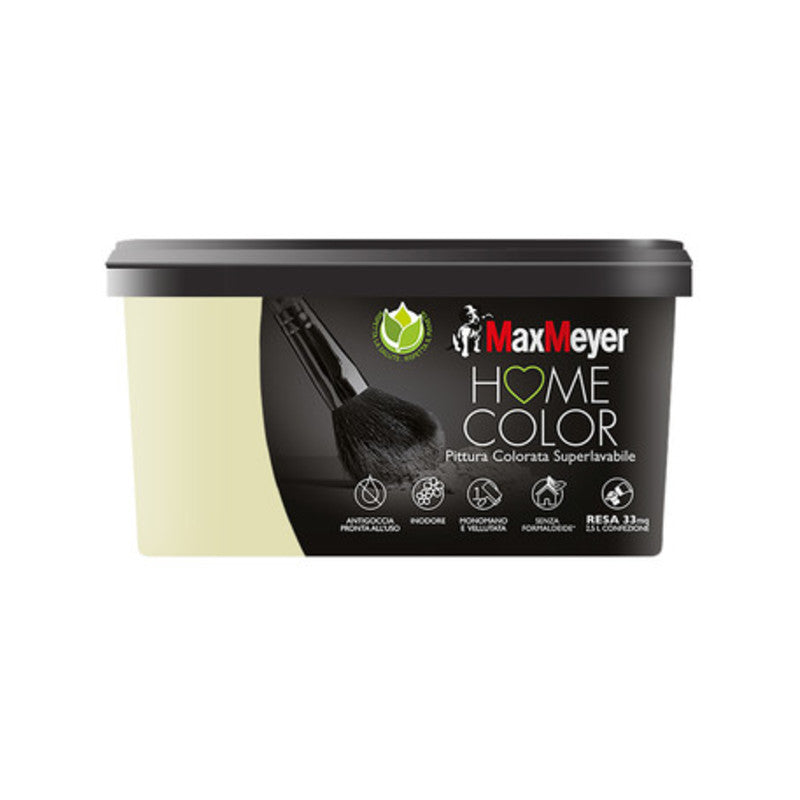 HOME COLOR SUPERLAVABILE LT.2,5 SALICE