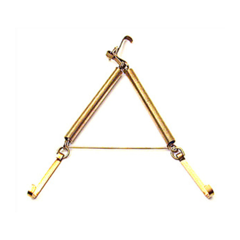 BL APPENDIPIATTI A MOLLA OTTONATO 12X16 CM (PZ.2)