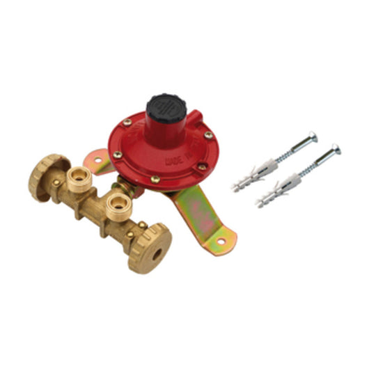 CENTRALINA P/GAS A 2 RUBIN  4 KG/H S/FLESS MIGN*