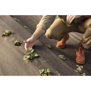 C TELO PACCIAMATURA PP H 1,65X 10M