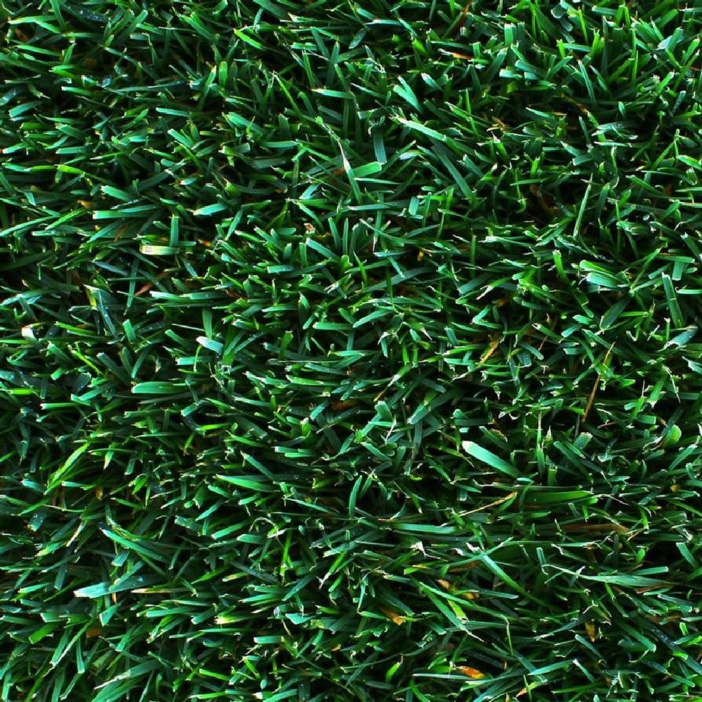 BEST ENERGY K CONCIME ENERGIZZANTE con POTASSIO idrosolubile FRUTTI 1 kg Green