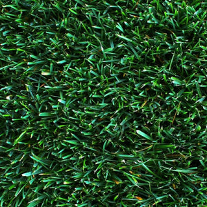 BEST ENERGY K CONCIME ENERGIZZANTE con POTASSIO idrosolubile FRUTTI 1 kg Green