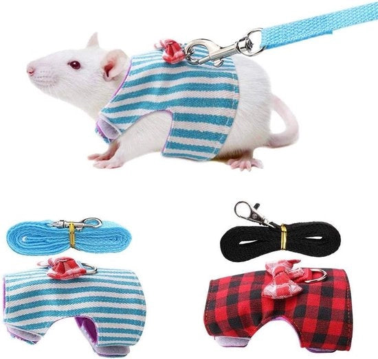 Harnas e fune per piccoli animali - cintura per escursioni all'aperto - rosso con strisce blu XS - set da 2