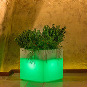 Vaso Cube In Resina Quadrato H40 Lampada Verde 40x40Cm