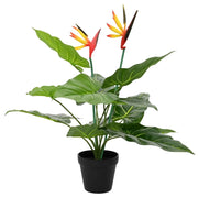 Pianta Artificiale Strelitzia Verde 65 x 13 x 55 cm 42042082