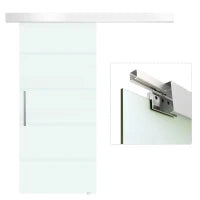 Porta Scorrevole Interna in Vetro Smerigliato e Satinato con Binario B2 e Maniglia per Bagno Cucina Studio Vetro 205x 90x 0,8cm
