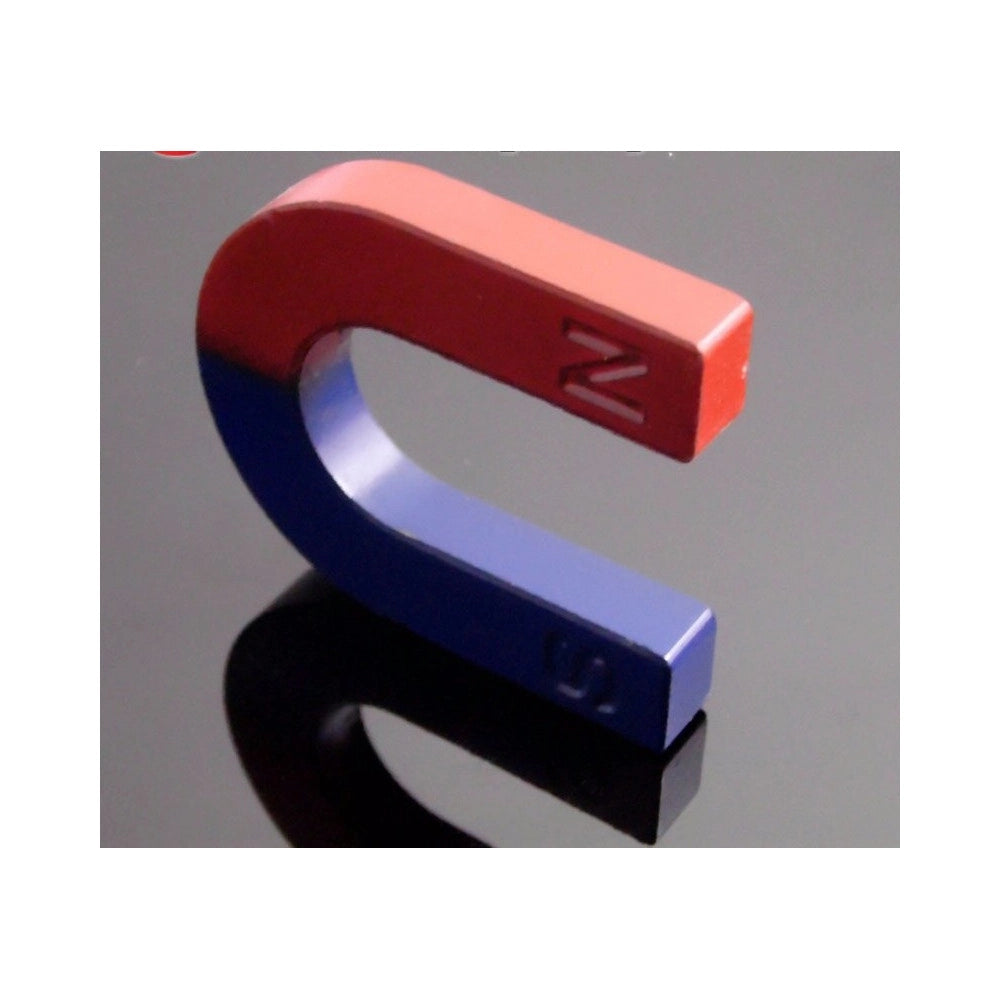 Trade Shop - 2 X Magnete Didattico Calamita 30mm A Forma Di U Positivo E Negativo Nord Sud -