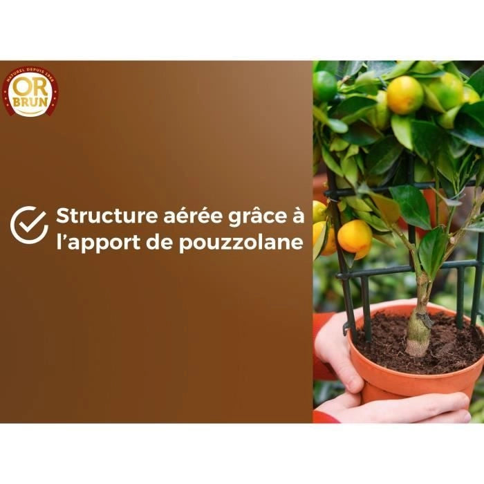 Terra di agrumi e piante mediterranee - MARRONE ORO - OBRTAG20N - 20 L