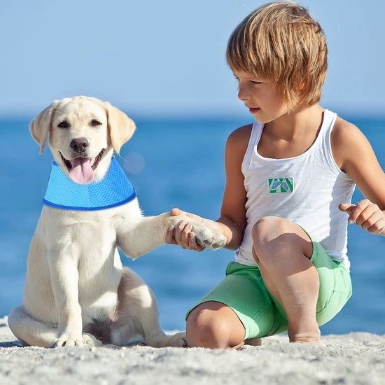 Accessorio di raffreddamento per cani - Ademend per cani - Scheda di raffreddamento leggera - Accessorio estivo per cani - Per piccoli/midi cani - Materiale PVA
