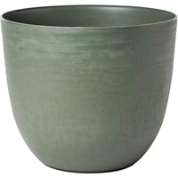 Teraplast insula over 48 forest over 48 forest