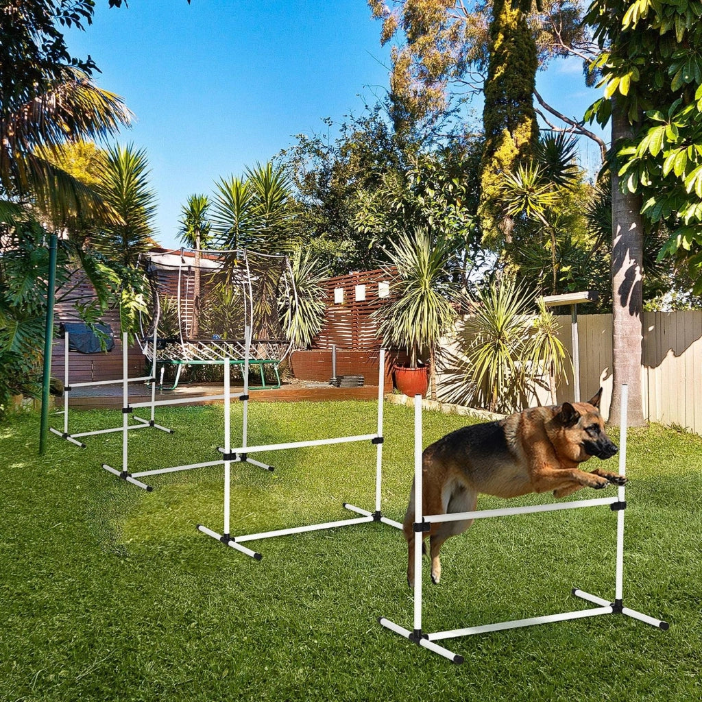 Set Agilit¨¤ per Cani 4 Pezzi ¨C zephmum ¨C Bianco 99x65x94 cm