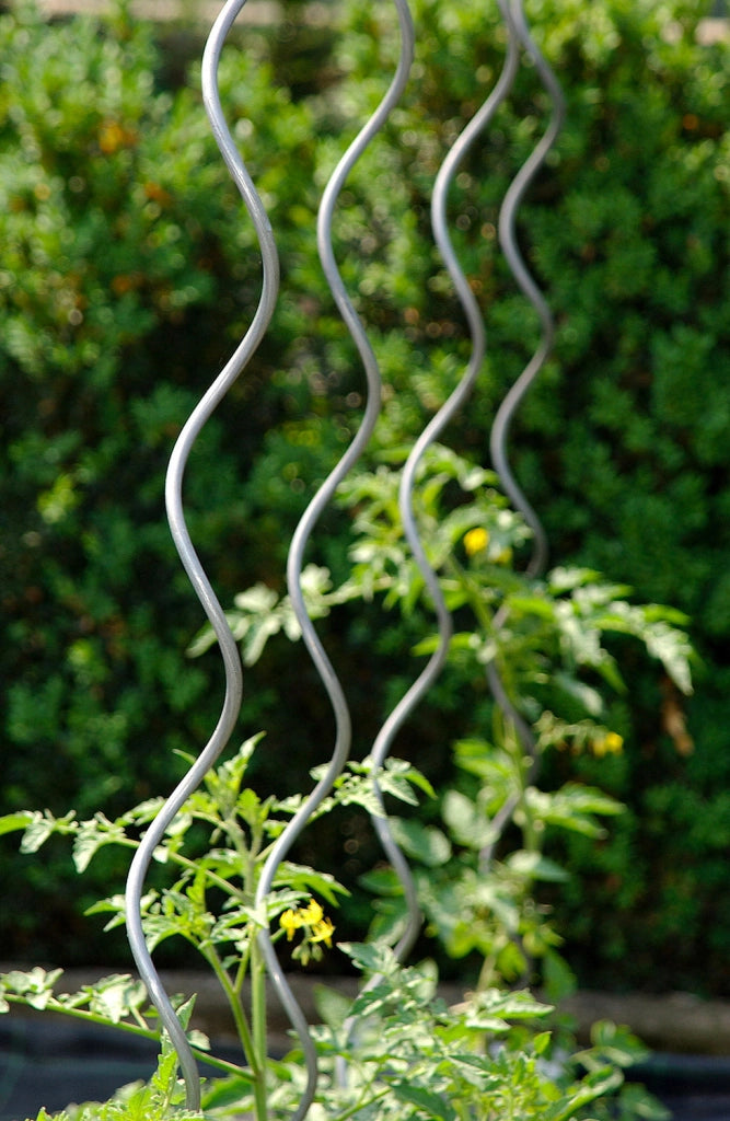 Set 10 Sostegni Tutori a Spirale per Piante Pomodori 200 cm in Acciaio Agrati