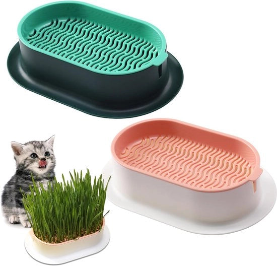 Scatole per semi di erba di gatto - Scatole per crescita di gatto - Scatola per semi di erba di gatto - Per gatti - In casa e in ufficio - Seme da seminare per giardino - Ideale per la produzione di semi di erba di gatto