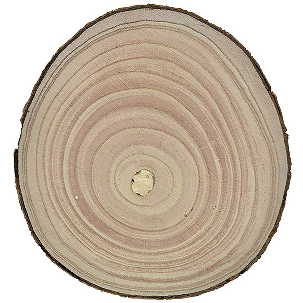 Centrotavola di Legno Base Dischi Tronco Decorazione Natalizia Diametro 20CM