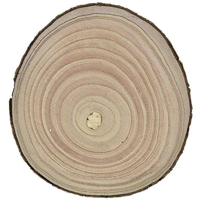 Centrotavola di Legno Base Dischi Tronco Decorazione Natalizia Diametro 20CM