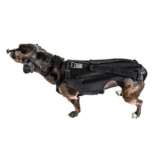 Supporto per la Colonna Vertebrale per Cani - Braccio di Supporto IVDD - Protezione e Alleviamento del Dolore - Sostegno per la Colonna Vertebrale - Recupero Chirurgico - Prevenzione delle Malattie della Colonna Vertebrale