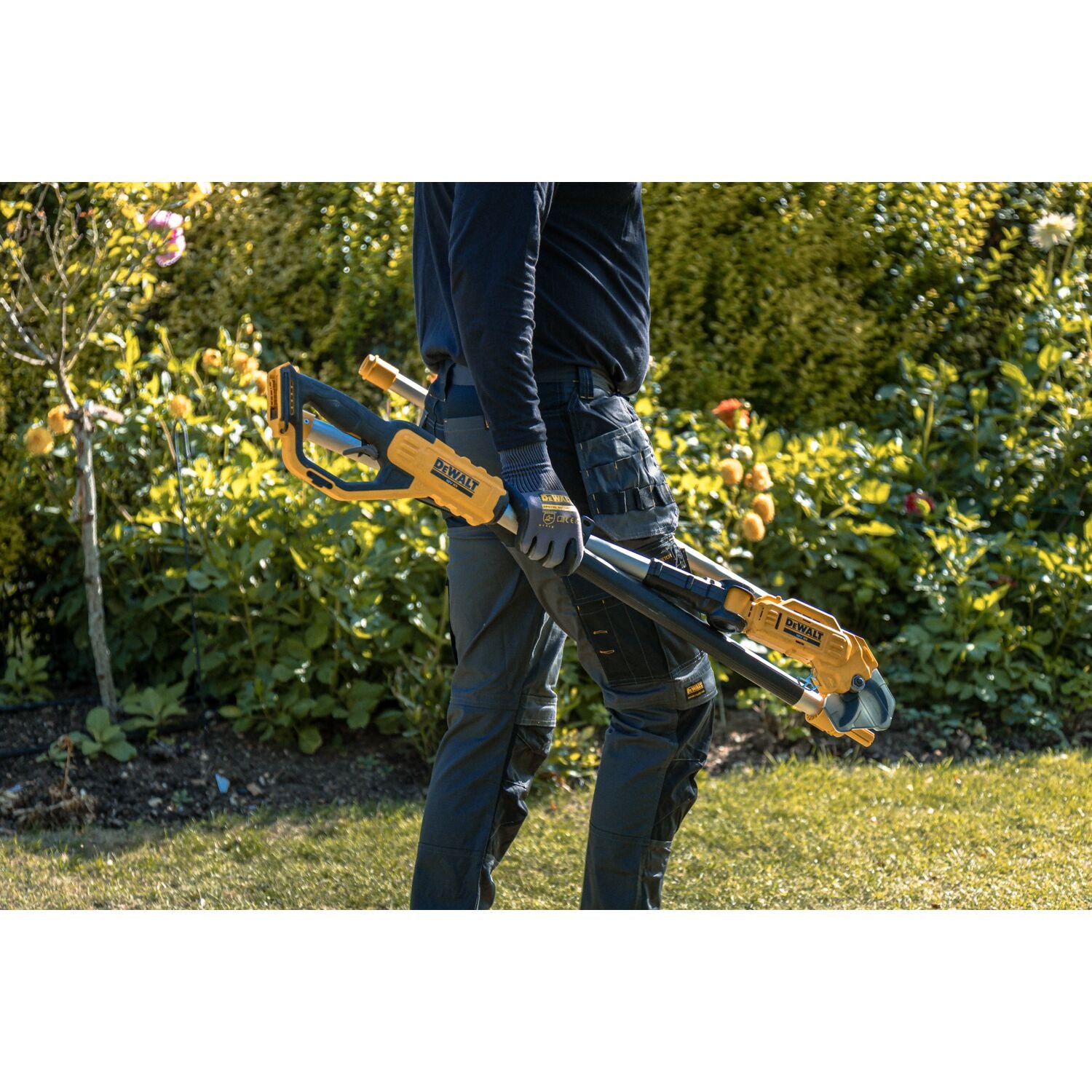 DeWALT DCMPP569P1-QW – Potatore ad asta cordless 18 V XR, 5,0 Ah, capacità 38 mm