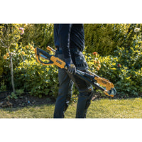 DeWALT DCMPP569P1-QW – Potatore ad asta cordless 18 V XR, 5,0 Ah, capacità 38 mm