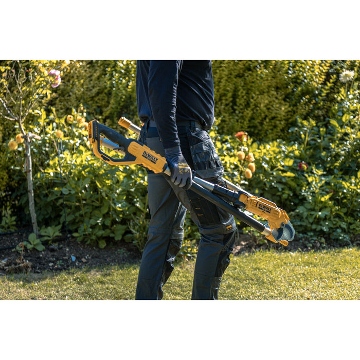 DeWALT DCMPP569P1-QW – Potatore ad asta cordless 18 V XR, 5,0 Ah, capacità 38 mm