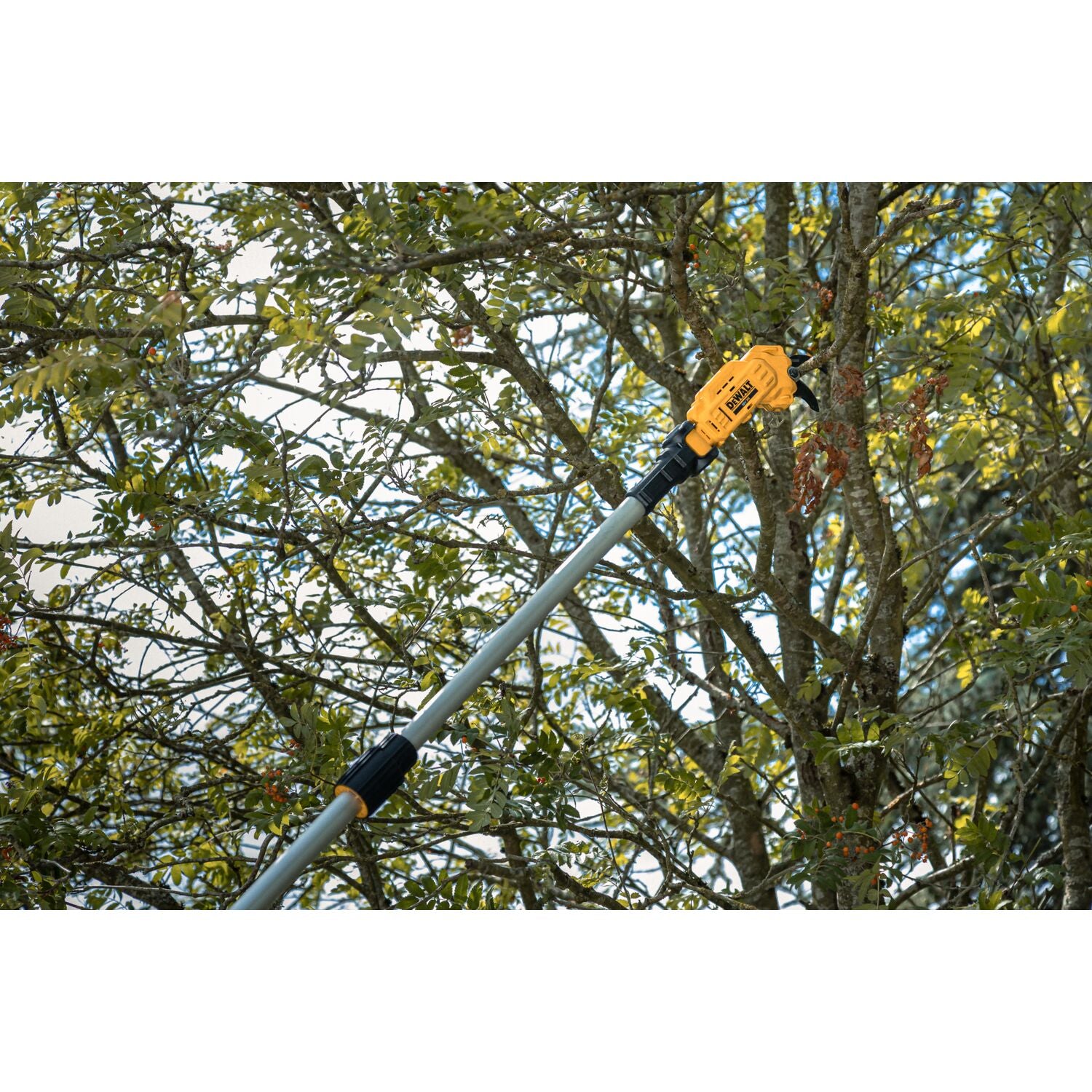 DeWALT DCMPP569P1-QW – Potatore ad asta cordless 18 V XR, 5,0 Ah, capacità 38 mm