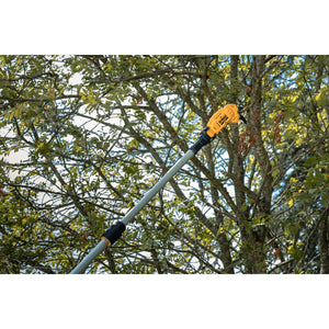 DeWALT DCMPP569P1-QW – Potatore ad asta cordless 18 V XR, 5,0 Ah, capacità 38 mm