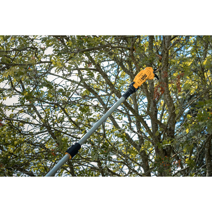 DeWALT DCMPP569P1-QW – Potatore ad asta cordless 18 V XR, 5,0 Ah, capacità 38 mm