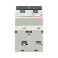 Interruttore automatico MCB 2P, 125A 415VAC, 6kA Longroad