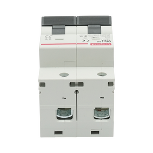 Interruttore automatico MCB 2P, 125A 415VAC, 6kA Longroad