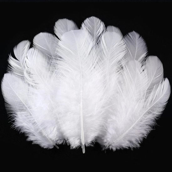 Pacchetto di 300 Viti Bianche da 7,5-12,5 cm - Accessori per Feste - Decorazioni - Progetti di Fai da Te - Viti per Decorazioni