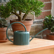 Giocatore di acqua per interni - Design metallico moderno - Verde scuro - Per piante da appartamento - 1,1L - Tappo sottile e comodo