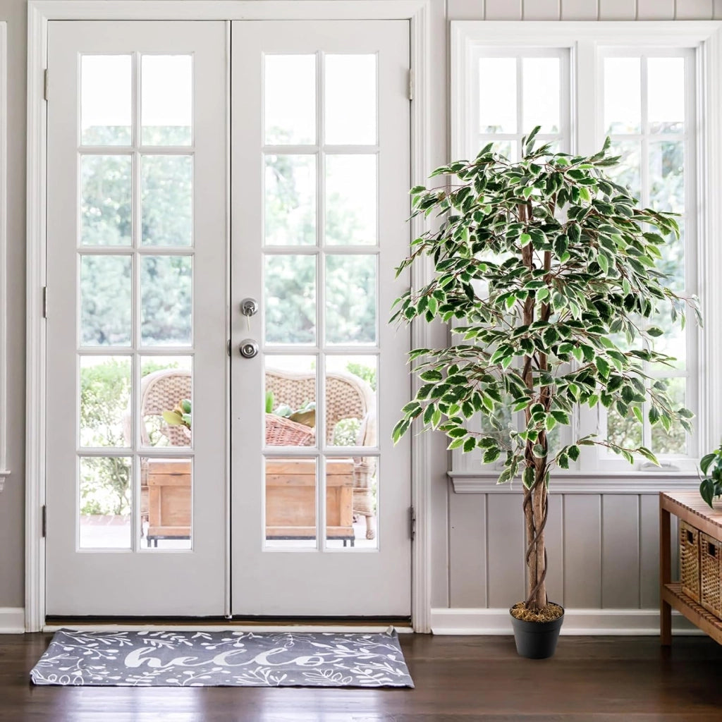 Pianta artificiale 160 cm, pianta artificiale di alta gamma, pianta da appartamento con foglie verdi, vaso riempito di cemento, ficus artificiale con schiuma secca per ufficio, soggiorno
