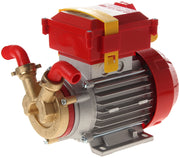 Rover Pompe ELETTROPOMPA DA TRAVASO  ROVER 20 CE  Hp 0,50 (Ø mm. 20)