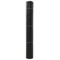 Telo per Pacciamatura 100x2 m Traspirante e Anti-UV in Polipropilene Nero