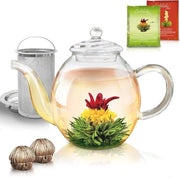 Teiera in Vetro con Bollitore in Acciaio Inossidabile - 1000ml - Inclusa 2 Infusioni di Tè in Fioritura - Ideale per Tè in Sacchetto e Tè Congelato