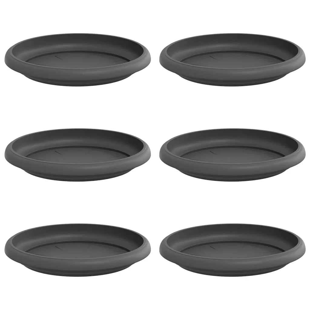 Vassoio Rotondo per Fiori 6 pcs Nero Ø 15,5 x 2 cm Plastica 42020307
