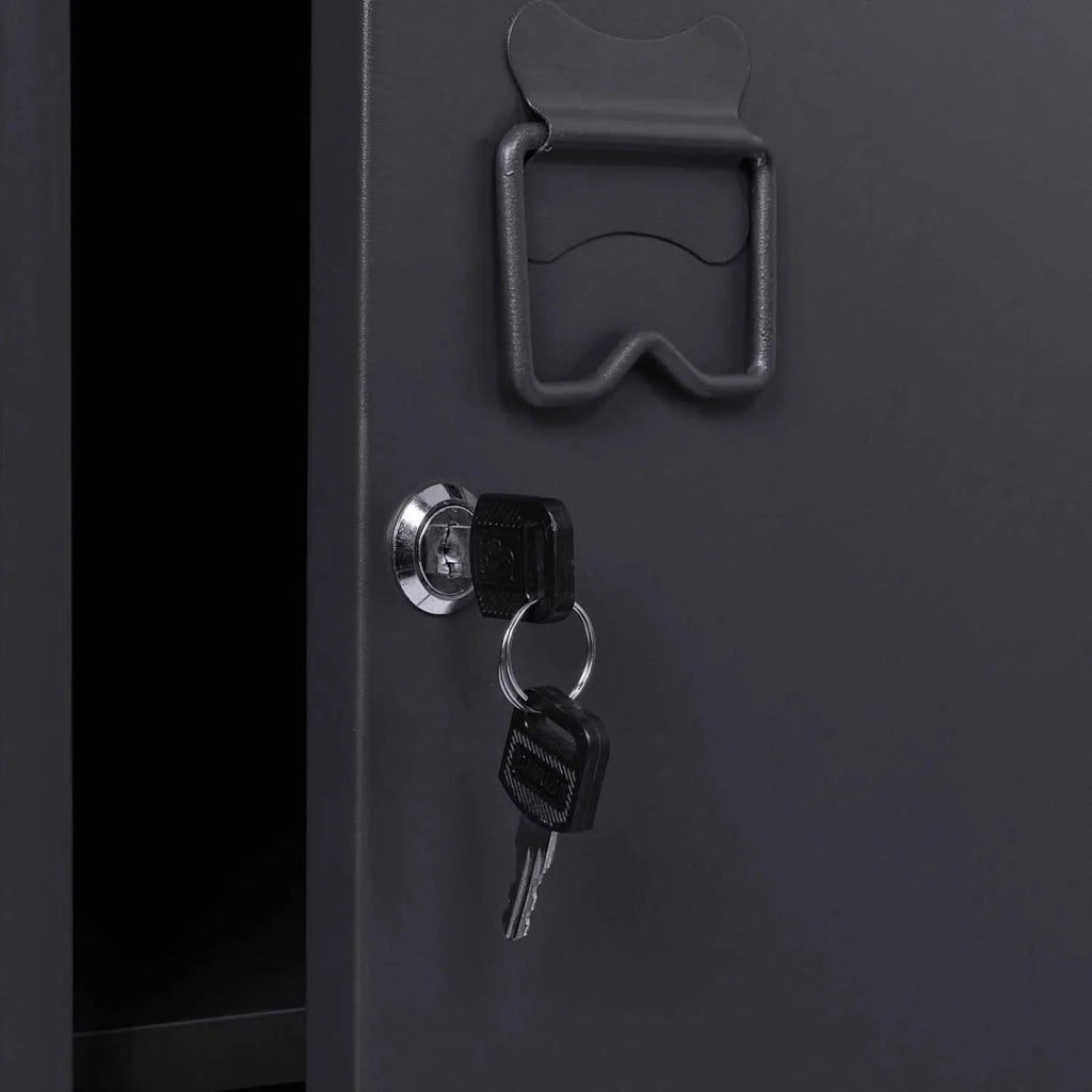 IDMarket - Armadietto ESTER con porta in metallo grigio scuro, design industriale