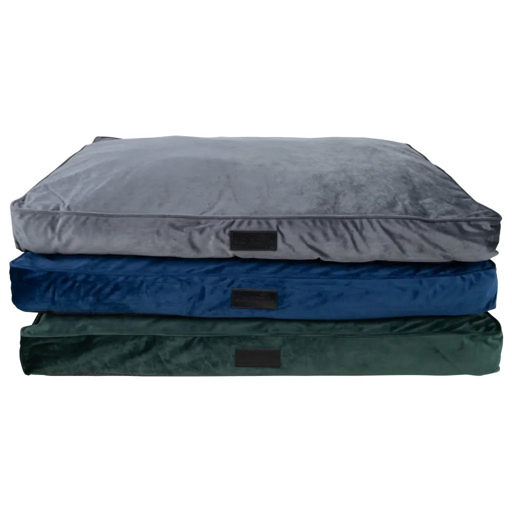 DISTRICT70 Cuscino per Cani VELURO Blu 435692