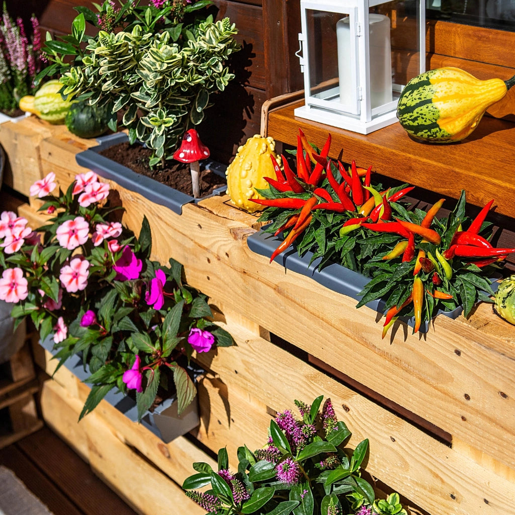 Vaso da fiori KADAX, vasi per Europallets, scatola da 40 cm, 12 pezzi