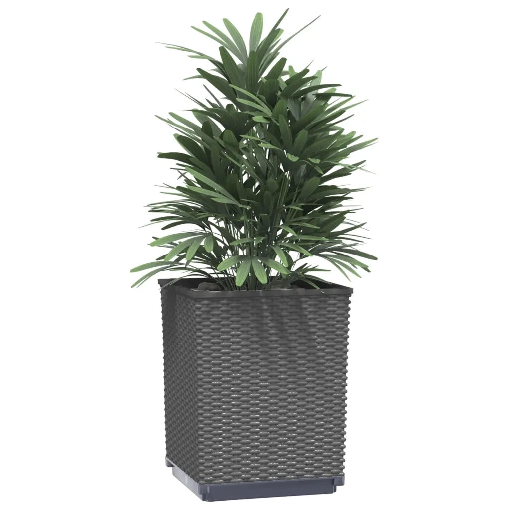 Fioriere | Cassetta per fiori | Vaso 4 pz Nere 30x30x37 cm in Polipropilene